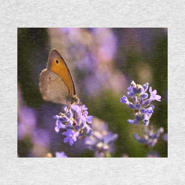 Honeybee on a lavender flower by naturalis